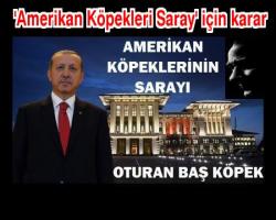  'Amerikan Köpekleri Sarayı' için karar
