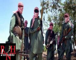 Somali'de terör saldırısı