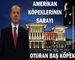 Amerikan Köpekçiklerin Saray'ın etrafında isimsiz cadde kalmadı: Alparslan Türkeş, Yeni Çiftlik, Köp