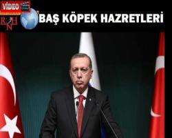 Türkiye'de dün  köpek başı günüydü...