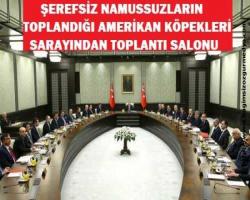 Seçimler yaklaşırken Amerikan Köpekleri Parti'si kaynıyor mu?  