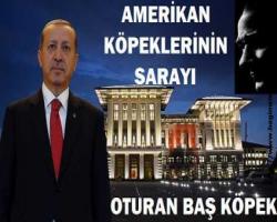 Bir Şerefsiz  Halktan Oy İster mi? İstese Böyle Haber Yapılır... 