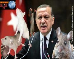 Erdoğan'dan Gül'e: Türk tipi başkanlık bal gibi olur!