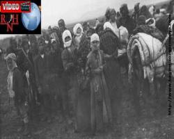 Özür dilemek anlamını bilmeden sözde müttefikimiz olan 'Almanya’dan özür bekliyoruz' 