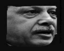 Padişah Erdoğan yargı önünde
