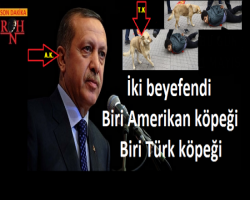 İki beyefendi biri Amerikan köpeği biri Türk köpeği, bir din sömürücüsü,  bir sevgi ile yaklaşan can