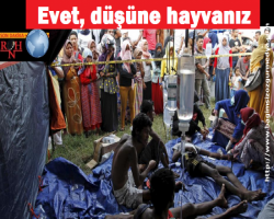 Malezya'da toplu mezar bulundu; Evet, düşüne hayvanız...