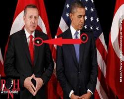 Kavaşakların bol olduğu Ankara'dan sert dönüş