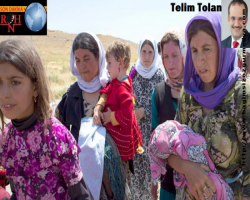 Yezidilerden Erdoğan’a nereya kadar eleştiri