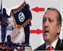 Prof. Ergun Özbudun: Yönetim sistemi değişmedi, Erdoğan'ın sözleri anayasa aykırılığın itirafı