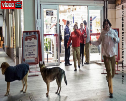Dünya alarm veriyor Türkiye ne yapıyor; Şili’de 8.3’lük depremin ardından tsunami alarmı