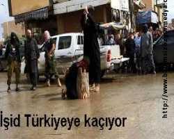 İŞİD TERÖR ÖRGÜTÜ TÜRKİYEDE