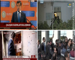 Hayvanlara hakaret etmeyelim ama benzetme yapalım ne dersiniz?  Penguen sürüsü: