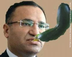 Kılıçdaroğlu'nun sözlerine Boz ayıdan tepki: Edepsiz, terbiyesiz, ahlaksız
