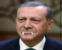 Ana yapısı belli Erdoğan: Modeli ( babası belli olmaya ) anayasa hazırlama başarısını ortaya koymalı