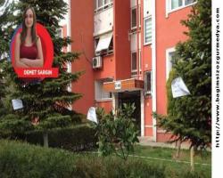 S.G.DEMET SARGIN bidiriyor ; Ağaçlara kesilecek notu