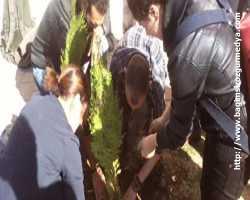 Yeşili Sevmeyi yasak; İki üniversiteliye okula giriş yasağı: Suçları fidan dikmek!