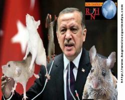 Kılıçdaroğlu'na 'Sapık' diyen Erdoğan, kadınlar için neler demişti?
