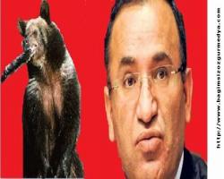 Hükümet'ten çarpıcı 'MHP' açıklaması