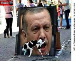 Yılardır terörizmi ithal ve ihraç eden  Almanya’dan Türkiye’ye kutuplaşma uyarısı.