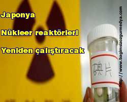 Japonya nükleer reaktörleri yeniden çalıştıracak