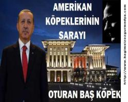  Yumurtalar Amerikan köpekleri saray’dan mış!