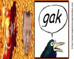 Dedi, tam yerine denk geldi kodu 