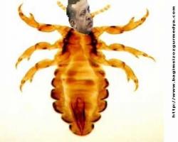 MİT darbe girişimi öncesi niye olgu olgunlaşınca cuma saat 16:00'da bilgi vermiş mi acaba?