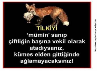 TİLKİYİ ÇİFTLİĞE “REYİZ” YAPINCA…