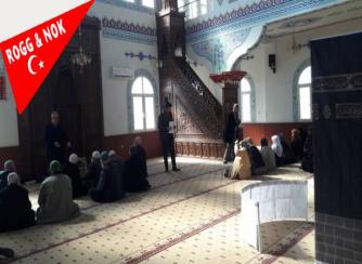  Salim Koçak: CAMİLER, CAMİLER, CAMİLER... 
