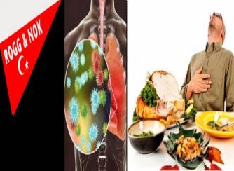 Prof. Dr. İbrahim Ortaş: Beslenme ve Gıda Güvenliğini Sağlamak İçin Sürdürülebilir Merkezi Planlama Gerektiriyor