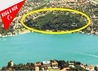 Prof. Dr. Mehmet Ali KÖRPINAR: SUUDİ ARABİSTANIN GERÇEK YÜZÜ ORTAYA ÇIKIYOR !!!