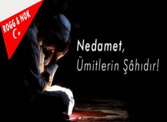 NEDAMET..
