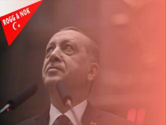 Habip Hamza ERDEM: ŞAHSIM DEVLETİ (13)- Örgütlülük