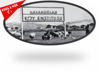 Zeki SARIHAN: KÖY ENSTİTÜLERİ KAZASI
