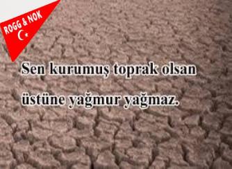 DALGANIN FARKINDA OLMAK..