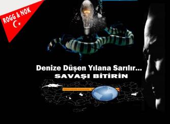 Denize Düşen Yılana Sarılır…