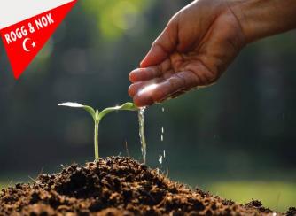 5 Aralık Dünya Toprak Gününde Toprağın Yaşamımızdaki Yeri (Toprak ve Yaşam)