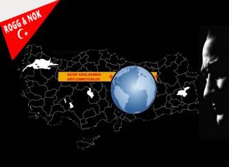 CEVİZ KABUĞU