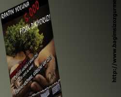 ODTÜ'lüler 'rantın yolu'na 5 bin fidan dikecekler!