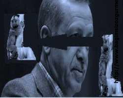 Başbakan Erdoğan: Kız ve erkek öğrenci aynı evde olmaz, denetleyeceğiz