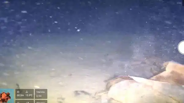 Marmara Denizi'nde 50 yıllık sır perdesi aralanıyor: THY'nin düşen uçağının enkazı bulundu mu?